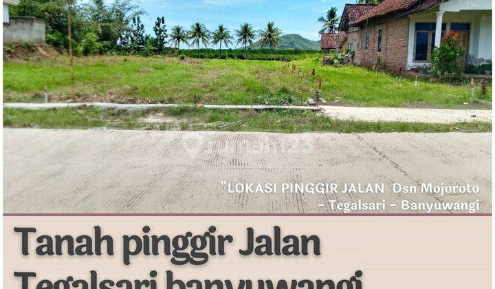 Tanah dijual di Banyuwangi Tegalsari Bisa Dicicil 1 Tahun 2