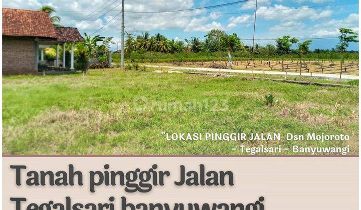 Tanah dijual di Banyuwangi Tegalsari Bisa Dicicil 1 Tahun 3