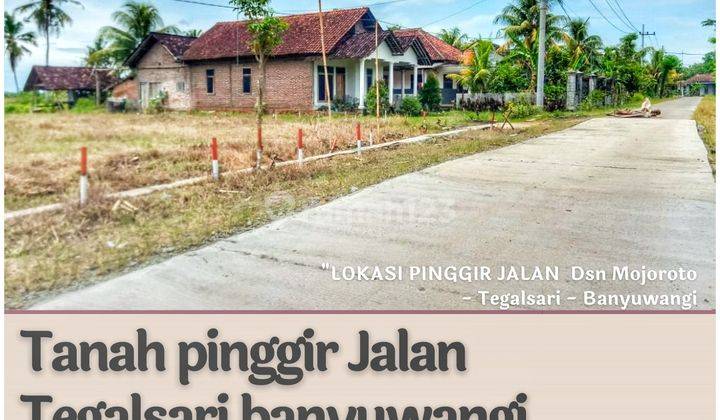 Tanah dijual di Banyuwangi Tegalsari Bisa Dicicil 1 Tahun 5