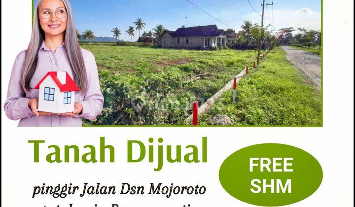 Tanah dijual pinggir jalan tegalsari blokagung banyuwangi 7