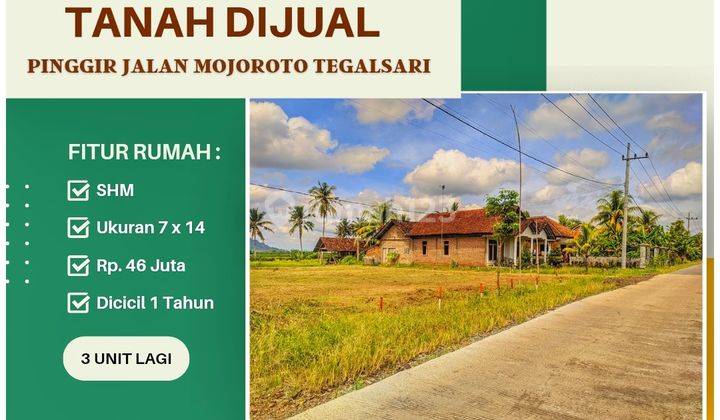 Tanah di Tegalsari Banyuwangi Area Genteng, Jajag 2