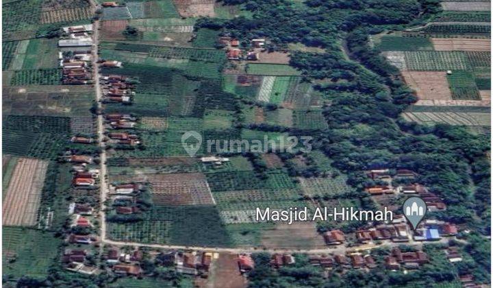 Tanah di banyuwangi area blokagung 40 juta bisa dicicil