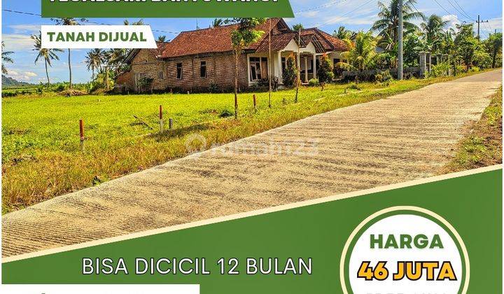 Tanah di banyuwangi area blokagung 40 juta bisa dicicil 7
