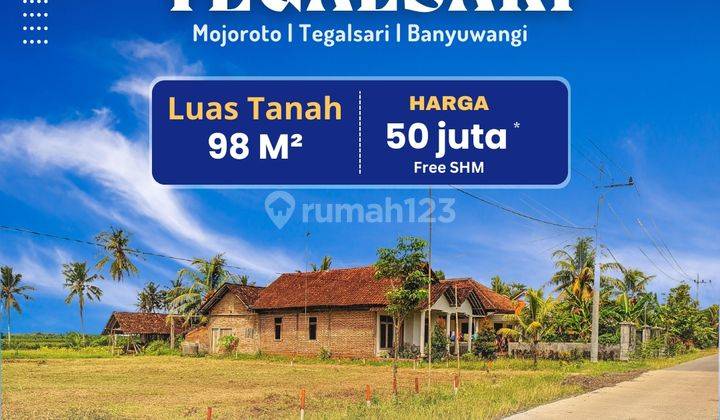 Tanah Dijual Di Tegalsari Banyuwangi 50 Juta 1
