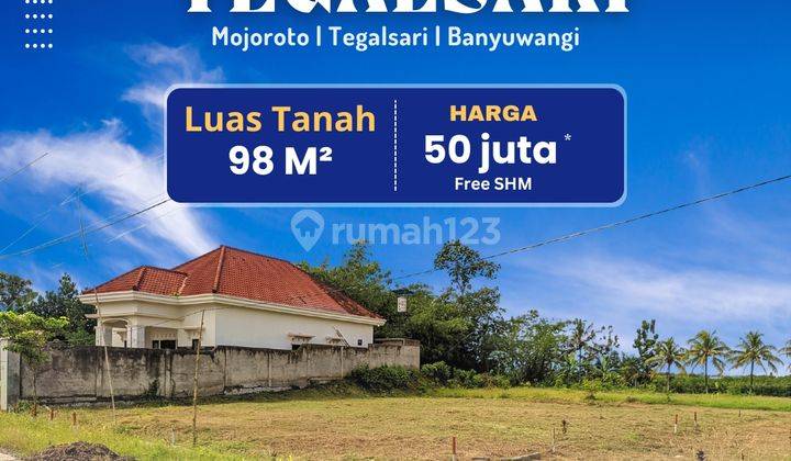 Tanah Dijual Di Tegalsari Banyuwangi 50 Juta 2