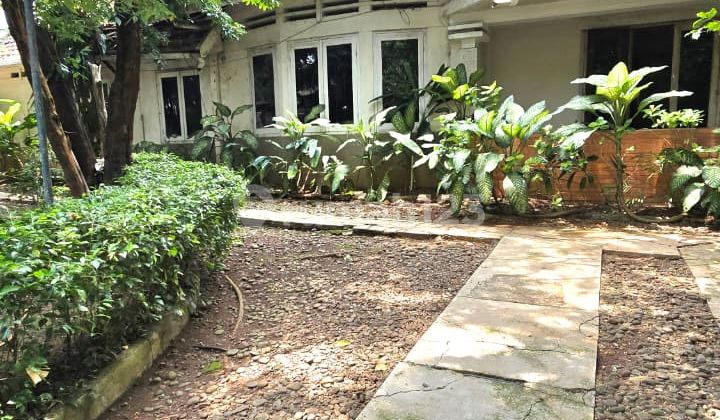 Rumah Hoek Shm Di Menteng Jakarta Pusat Hitung Tanah Turun Harga Dibawah Pasaran 