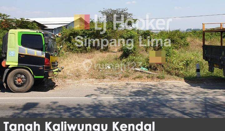 Tanah Murah di Kaliwungu Kendal Cocok Untuk Gudang 1