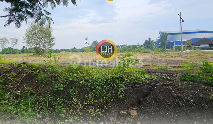 Tanah Sewa 1,5 Ha di Marina - Tawangsari, Semarang 1