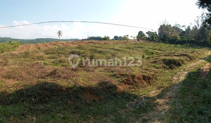 Rumah terawat dalam kompleks yang tenang dan nyaman di Pondok Labu, Pangkalan Jati