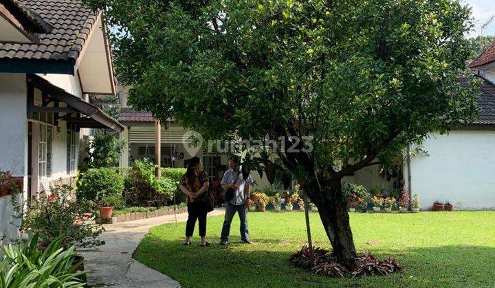 Rumah Bangunan Belanda Dijual 2