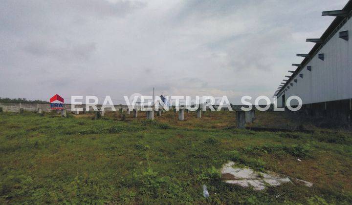 Gudang Baru Gress Sragen 9