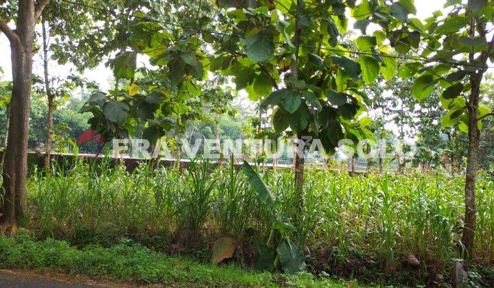 Tanah Pekarangan Siap Bangun Ngawen Gunungkidul 1