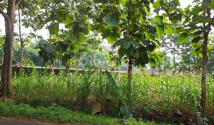 Tanah Pekarangan Siap Bangun Ngawen Gunungkidul 2