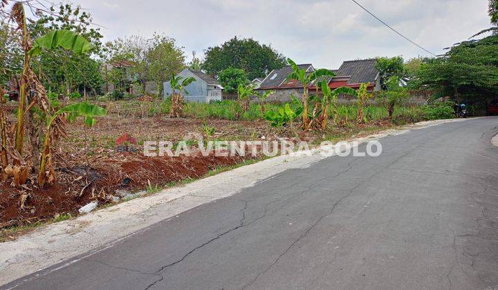 Tanah Pekarangan Siap Bangun Plesungan 1