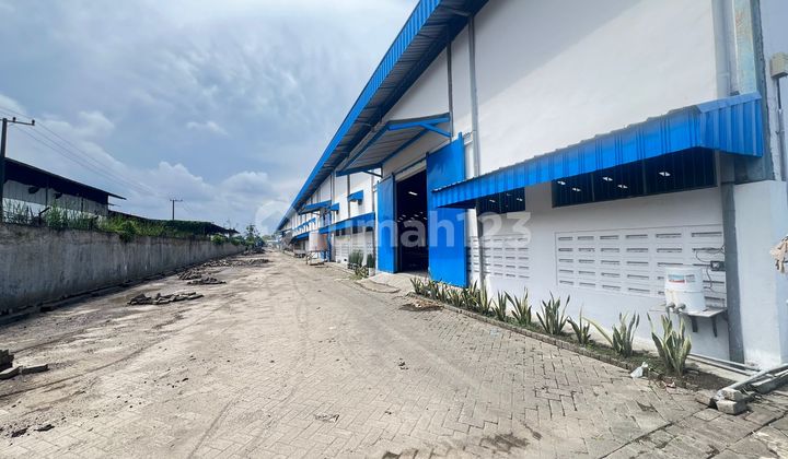 WAREHOUSE FOR SALE IN SIDOARJO RICE FIELDS WAREHOUSE FOR SALE IN SIDOARJO RICE FIELDS