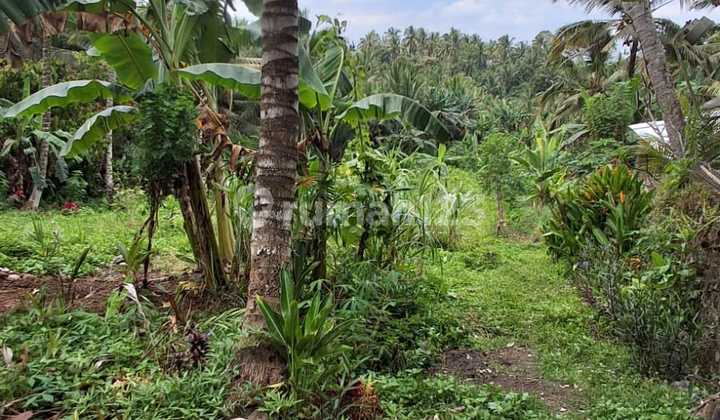 Land on Jl. Rajawali Bajera, Selemadeg, SHM 3200.0 m².