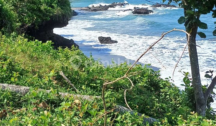 Tanah di Jalan utama Denpasar-Gilimanuk Selemadeg Barat Tabanan. 16350 SHM m²