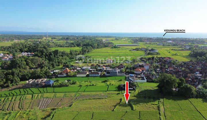 Land on Jalan Pantai Kedungu, Tabanan Locust Village 2236 SHM m² 2