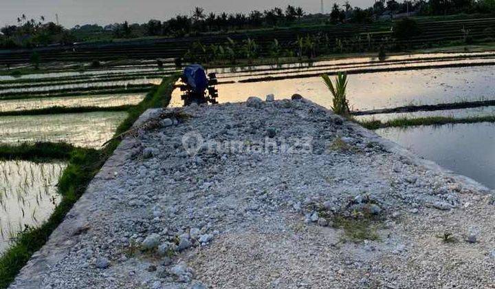 Tanah di Jalan Pantai Nyanyi, Beraban Tabanan 1148 SHM m² 1