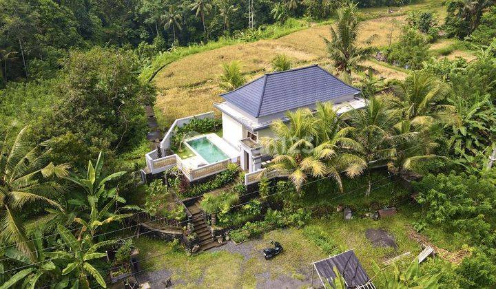 Villa on Jalan Ayodya Ubud Gianyar Bali SHM Baru Utara 2