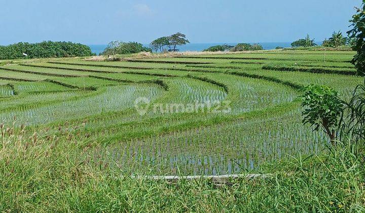 Tanah di Jalan pantai Kelating Kerambitan Tabanan 2000 SHM m² 2