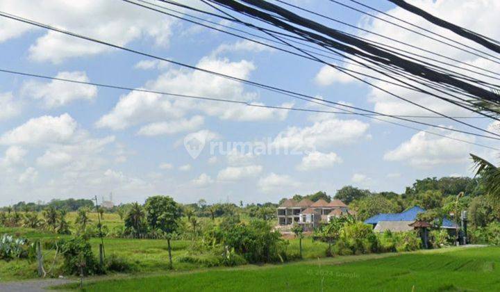 Kedungu Belalang Land for sale 1240 SHM m² 1