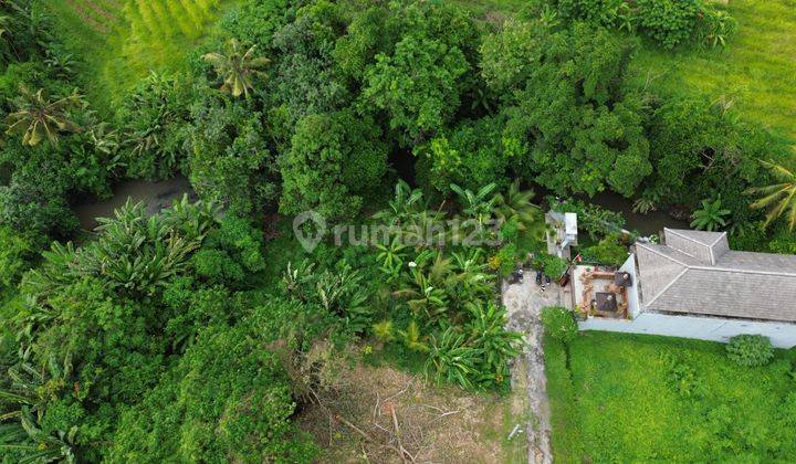 Tanah Dekat Pantai Kedungu Shm 690.0 M² 2