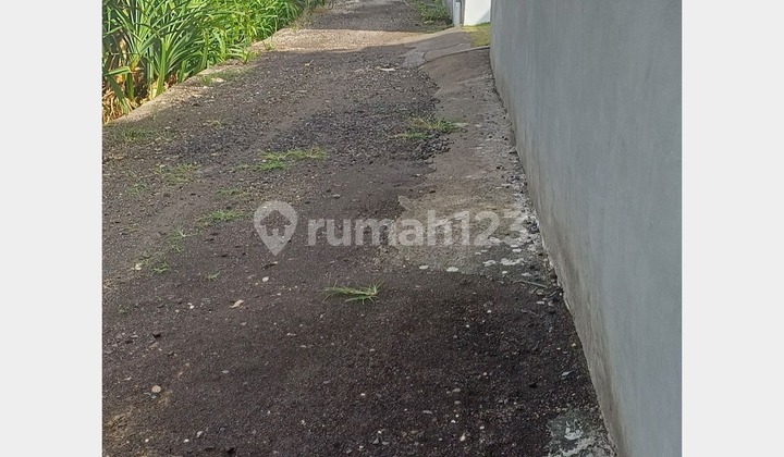 Land on Jalan aseman tibubeneng canggu 5900 SHM m²