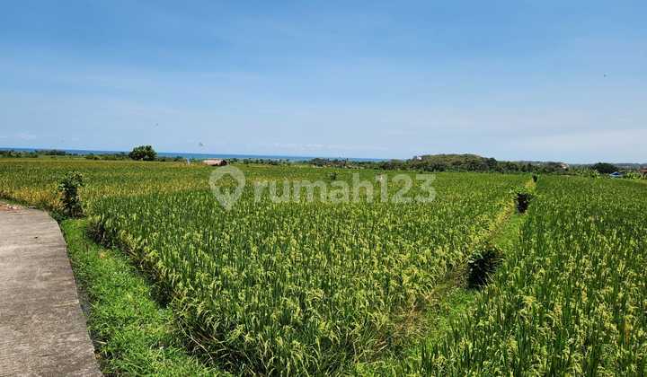 Land on Kelating Beach Street SHM 3000.0 M²