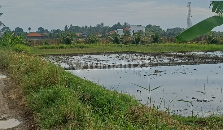 Land Near Kelating Beach, Title Deed 715.0 m²