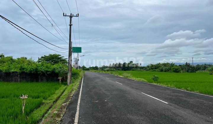 Land Near Beach Glamping Kedungu SHM 1130.0 m².