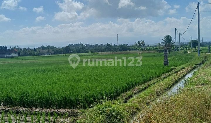 Land on Jl. Pantai Kelating Certificate 1050.0 M²