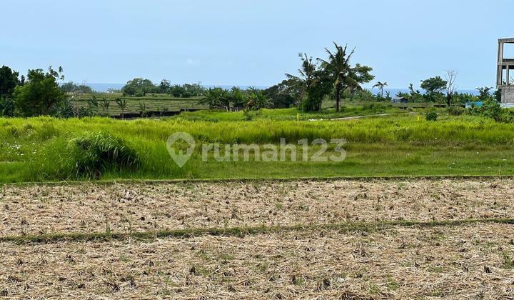 Tanah Di Jalan Jangga Kedungu Shm 500.0 M²