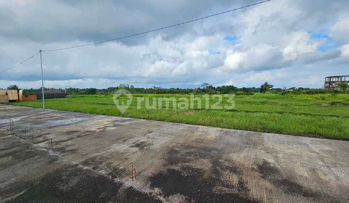 Tanah Di Jl. Pantai Kedungu Shm 1200.0 M²