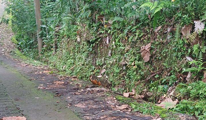 Tanah Di Jalan Desa Angkah, Selemadeg Barat Tabanan, Antosari Shm - Sertifikat Hak Milik 9070 M² Zona Kuning  1