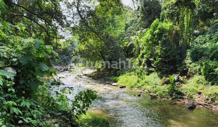 Tanah Di Jl. Pantai Nyanyi, Tabanan Shm 1000.0 M²