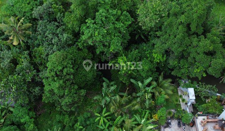 Tanah Dekat Pantai Kedungu Shm 690.0 M² 1