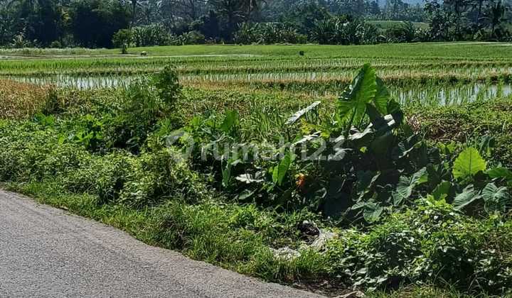Land on Main Road, Kelating Beach, Tidal Area, SHM 2600.0 m².