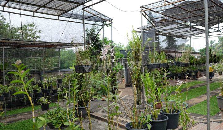 DIJUAL TANAH BAWAH NJOP LEBAK BULUS 2