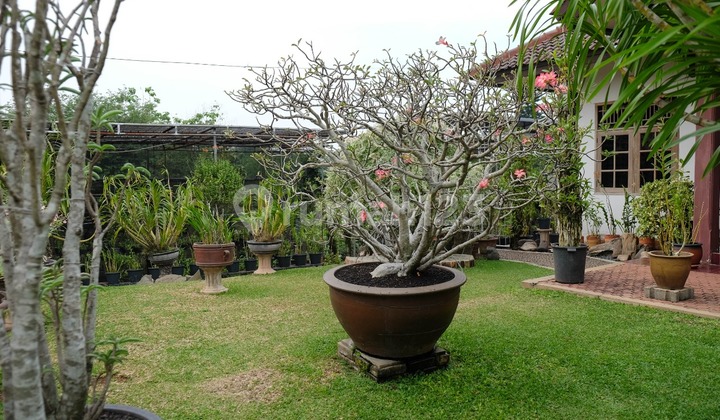 DIJUAL TANAH BAWAH NJOP LEBAK BULUS 1