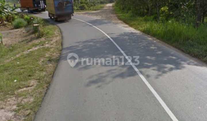 Tanah Muaro Jambi Jalan Lebar, Dekat Akses Pelabuhan, bisa KPR, Dekat Akses Tol Tanah Muaro Jambi Jalan Lebar, Dekat Akses Pelabuhan, bisa KPR, Dekat Akses Tol