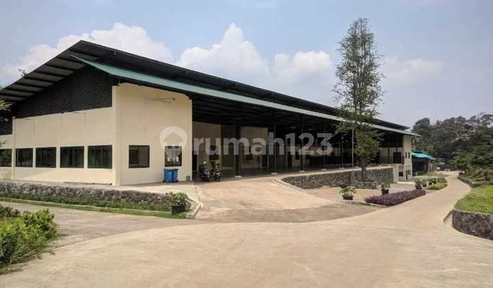 Cinere Land, Cinere Mas Villa Complex 20Ha, 20,495M2, Strategic, Ready to Occupy, Land, Near Shopping Center, Flood-Free. Cinere Land, Cinere Mas Villa Complex 20Ha, 20,495M2, Strategic, Ready to Occupy, Land, Near Shopping Center, Flood-Free.