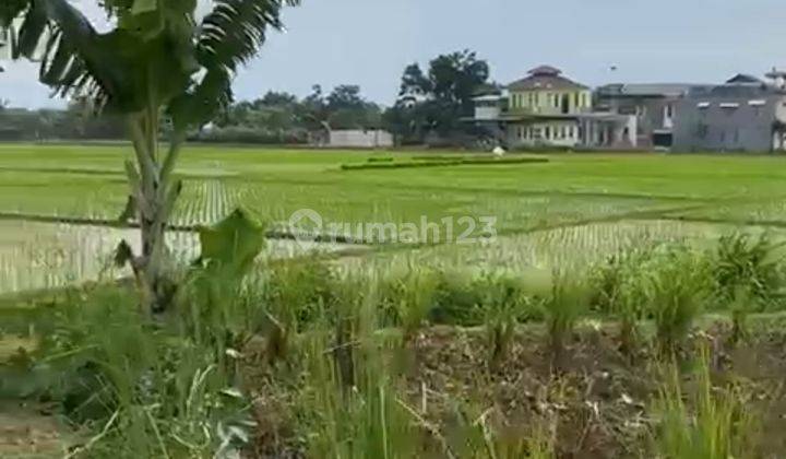 Tanah Sawah Luas Pinggir Jalan Raya Dekat Rencana Toll Gedebage Selatan Bandung 1