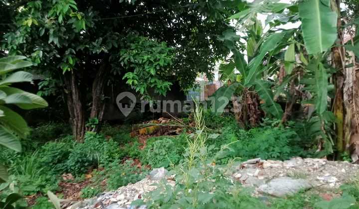 Tanah Darat Dekat Perumahan Kompas Mekarsari Tambun Bekasi Tanah Darat Dekat Perumahan Kompas Mekarsari Tambun Bekasi