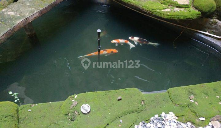 Rumah Mediterania Pik 360m², Murah, Nego 9
