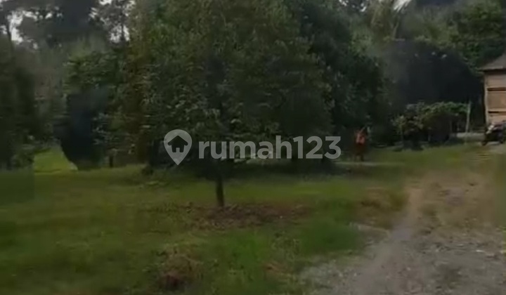 Industrial Land Rangkasbitung 5ha