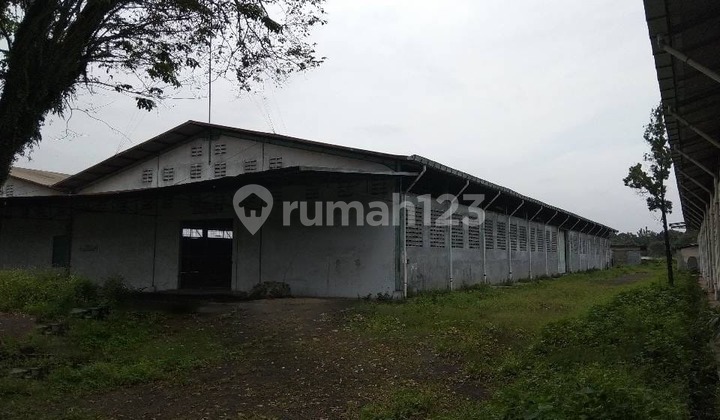 Pabrik / Gudang Curug Raya Tangerang Pabrik / Gudang Curug Raya Tangerang