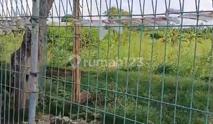 Tanah Dekat Bandara Soeta Akses Kontainer Tanah Dekat Bandara Soeta Akses Kontainer