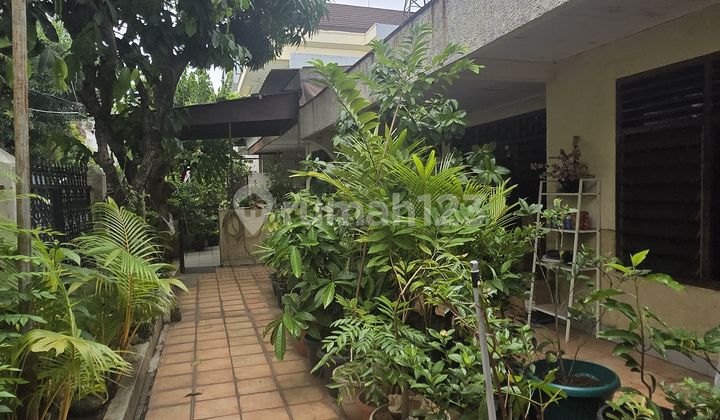 Termurah Rumah Tua Pluit 2