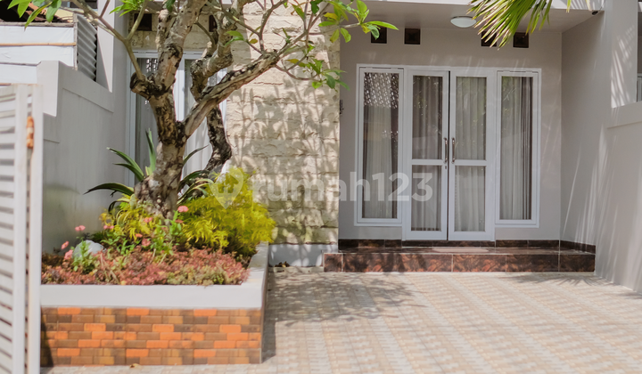 For Rent Comfortable Guest House in Sleman, Yogyakarta